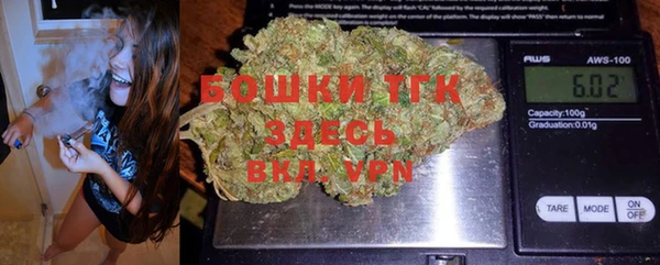 бошки Гусев