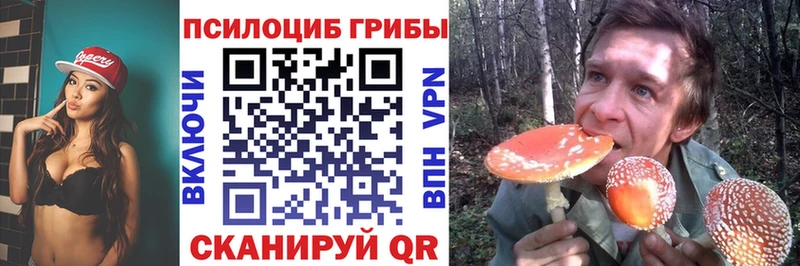 Псилоцибиновые грибы мицелий  Болгар 
